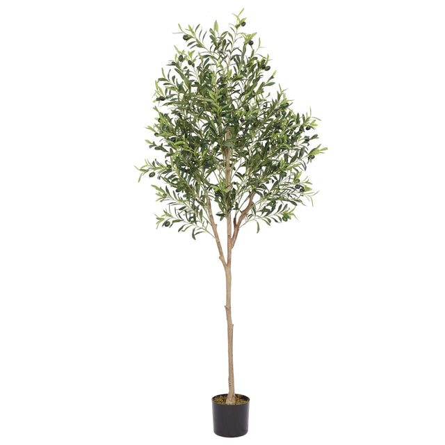 עץ זית מלאכותי 1.8 מטר עמיד ל־UV
