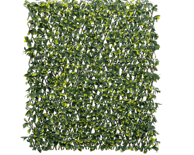 עלי דפנה רשת גדר ערבה - DecorYarok