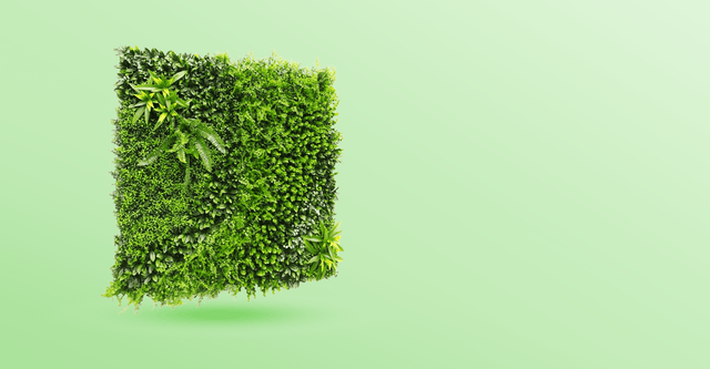 צמחיה מלאכותית סוד היופי decoryarok דיקור ירוק 