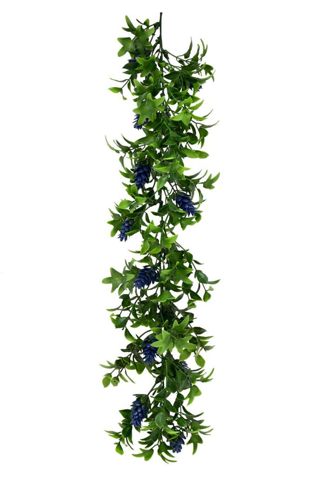 קונוס אורן סגול - DecorYarok