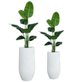 סט זוג ציפור גן עדן מלאכותי 1.6 מטר כולל זוג כדי אתונה במגוון צבעים