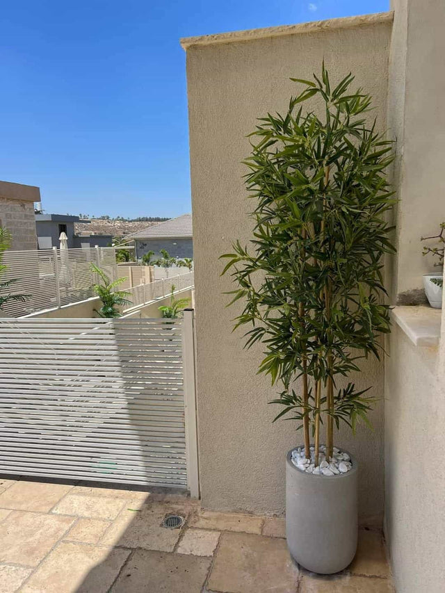עץ במבוק טבעי מלאכותי 1.8 מטר