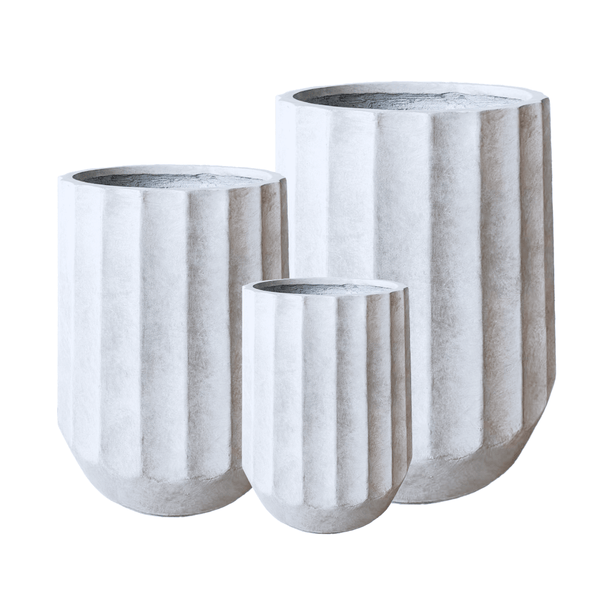 כד טורינו צבע לבן