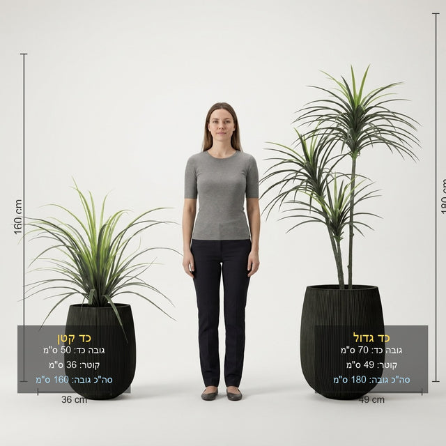 עץ יוקה מלאכותי 1.6 מטר ויוקה 50 ס"מ כולל זוג כדי סנטוריני במגוון צבעים