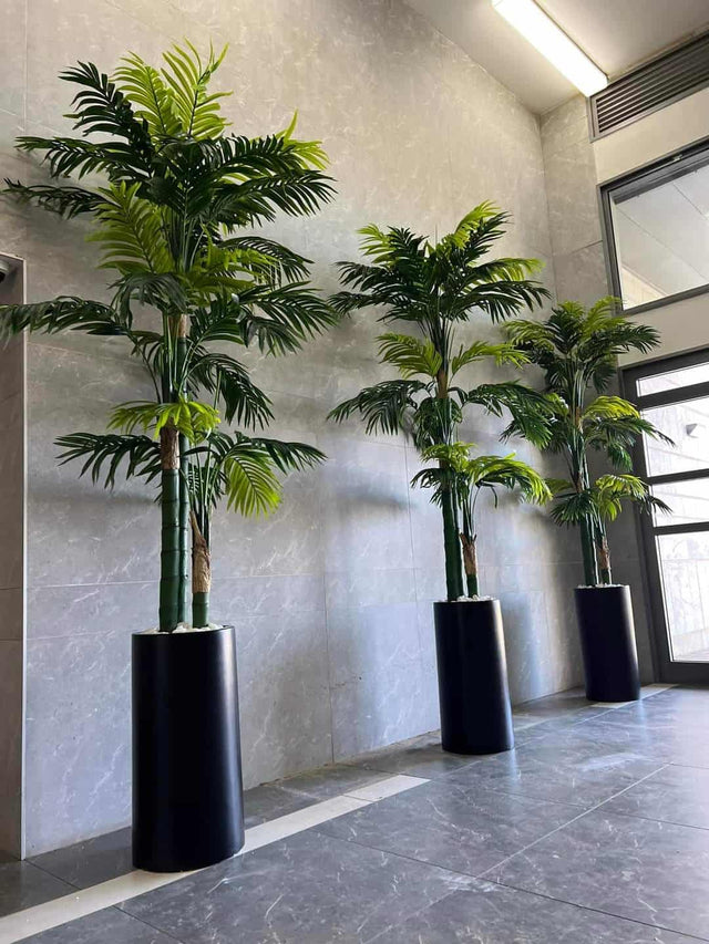 דקל רוסטוניה מלאכותי 3 מטר