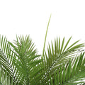 דקל קוקוס מלאכותי 1.6 מטר כולל UV