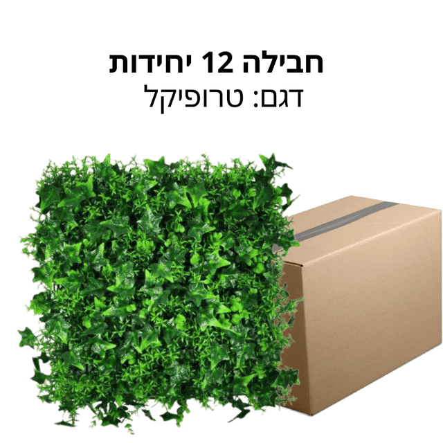 מבצע אביב ירוק | חבילה 12 יחידות | צמחיה רוזמרין, טרופית או שזיף ירוק - DecorYarok