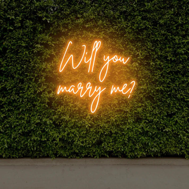 will you marry me - DecorYarok