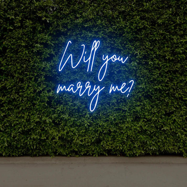 will you marry me - DecorYarok