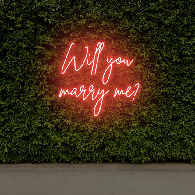 will you marry me - DecorYarok